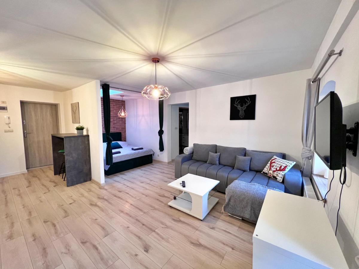 ילנייה גורה Apartament W Samym Centrum Jeleniej Gory מראה חיצוני תמונה